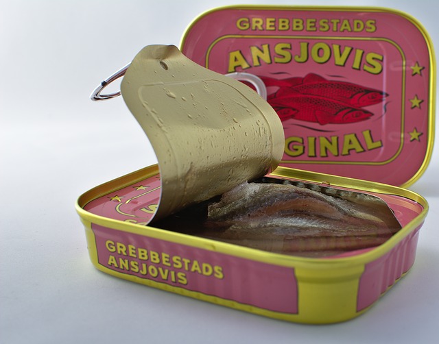 Types d'emballage des anchois de Cantabrie